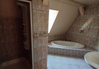 484519-Vorschaubild3