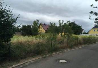 452831-Vorschaubild2