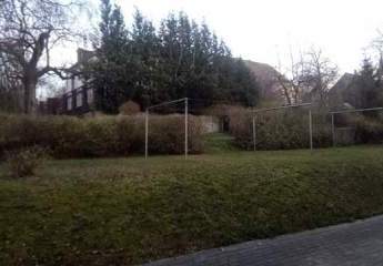 488390-Vorschaubild4