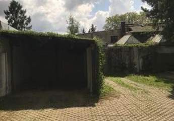 475503-Vorschaubild4