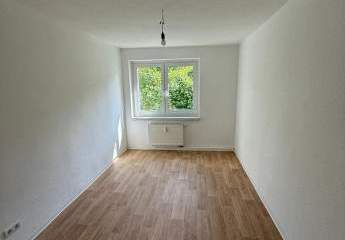 493899-Vorschaubild4