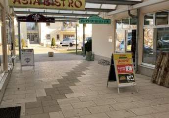 494049-Vorschaubild4