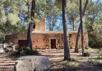 Rustikale Finca mit viel Platz zur Selbstverwirklichung