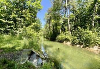 Urbanes Traumgrundstück am Siebentischwald