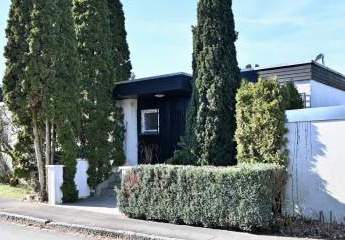 476642-Vorschaubild3