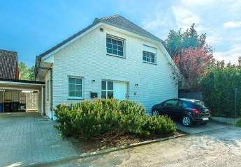 425882-Vorschaubild2