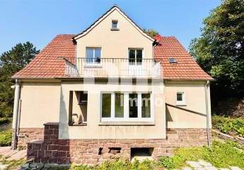 374162-Vorschaubild2