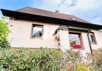 453546-Vorschaubild2