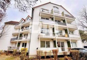 458299-Vorschaubild3