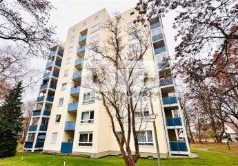 460476-Vorschaubild2