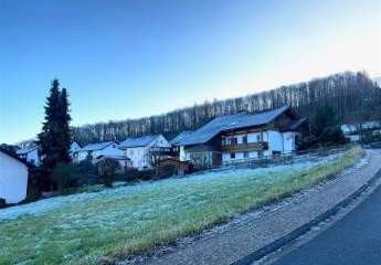 462218-Vorschaubild2