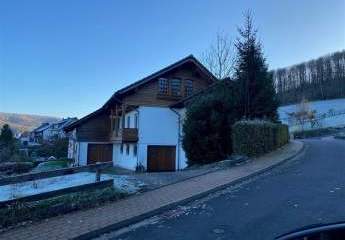 462218-Vorschaubild4