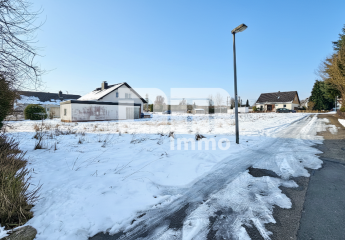 470766-Vorschaubild4