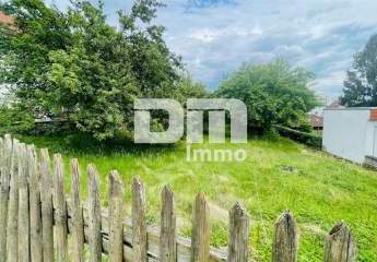 228929-Vorschaubild3