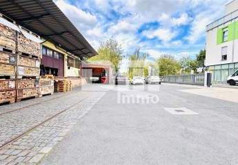 448381-Vorschaubild3