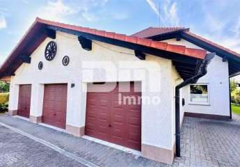 447607-Vorschaubild2