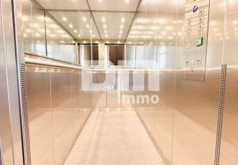 447407-Vorschaubild4