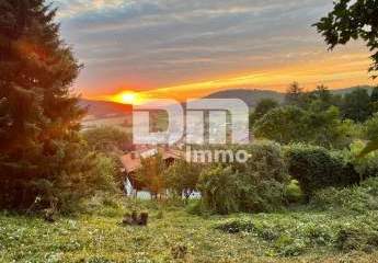 376033-Vorschaubild3