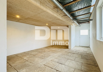 475504-Vorschaubild4