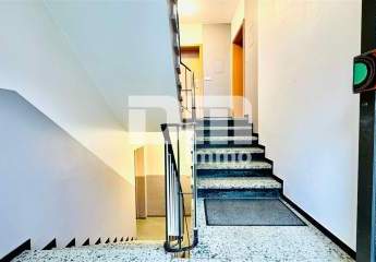 464981-Vorschaubild4