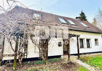 479471-Vorschaubild3