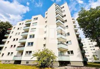 432862-Vorschaubild3