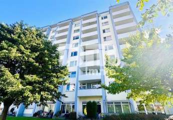 447407-Vorschaubild2