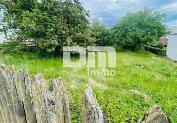 228929-Vorschaubild2