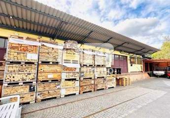 448381-Vorschaubild2