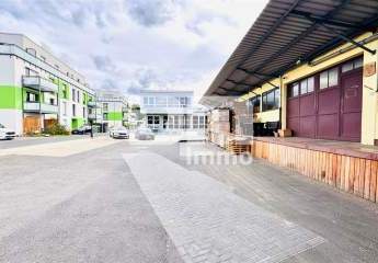 448381-Vorschaubild4