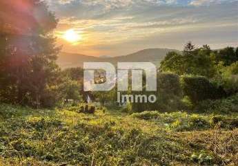 376033-Vorschaubild2