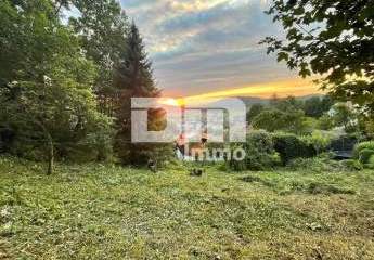 376033-Vorschaubild4