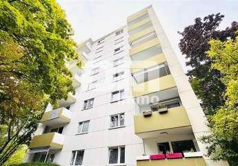 443907-Vorschaubild2