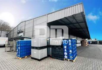 451345-Vorschaubild2