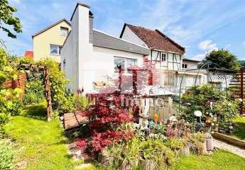 429131-Vorschaubild3