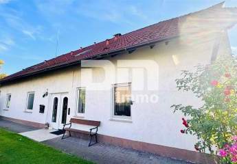 447607-Vorschaubild3