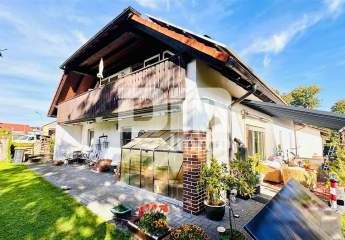 447607-Vorschaubild4