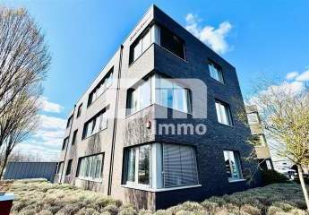 481748-Vorschaubild2