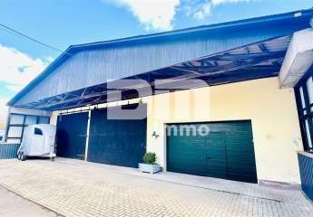 483333-Vorschaubild2