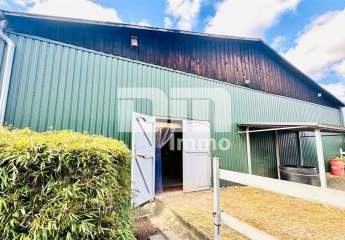 483333-Vorschaubild4