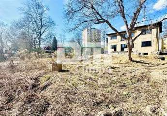 485171-Vorschaubild4