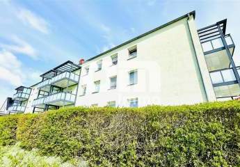 486190-Vorschaubild2