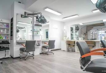 381301-Vorschaubild2