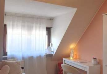 234815-Vorschaubild3