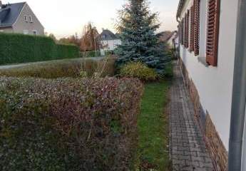 262221-Vorschaubild4