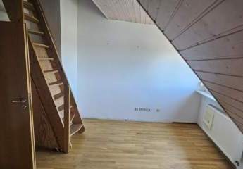 428794-Vorschaubild4