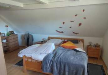 433001-Vorschaubild3