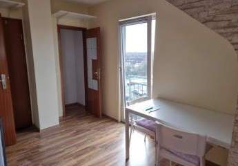 Einzimmer-Wohnung in Mannheim/Rheinau