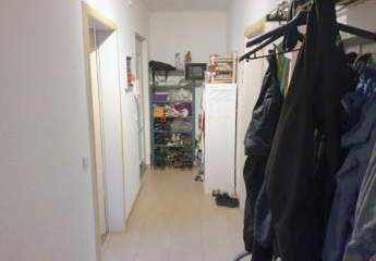 224982-Vorschaubild2