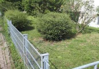 234814-Vorschaubild4
